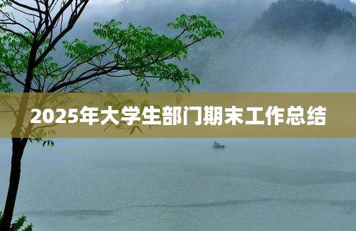 2025年大学生部门期末工作总结