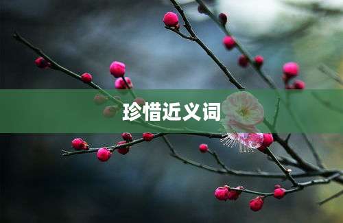 珍惜近义词