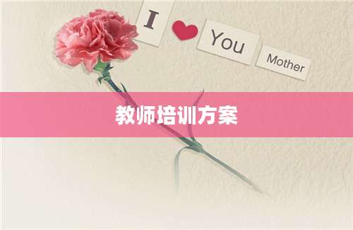 教师培训方案