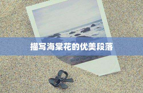 描写海棠花的优美段落