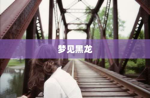 梦见黑龙