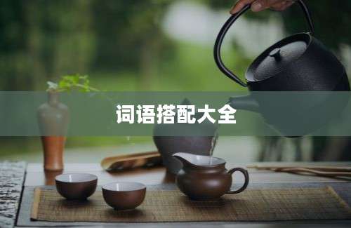 词语搭配大全
