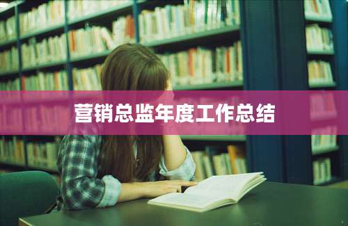 营销总监年度工作总结