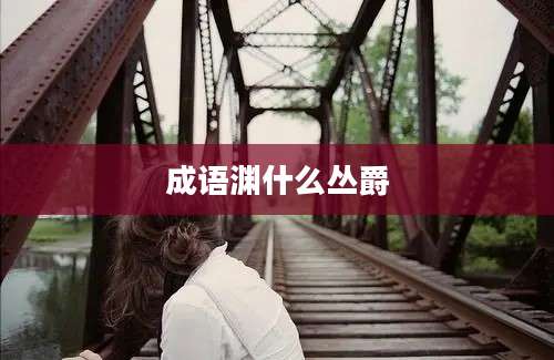 成语渊什么丛爵