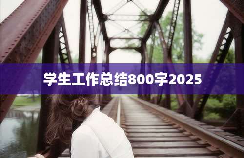 学生工作总结800字2025