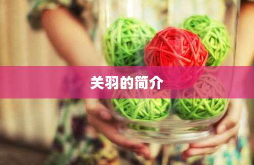 关羽的简介