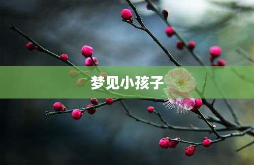 梦见小孩子