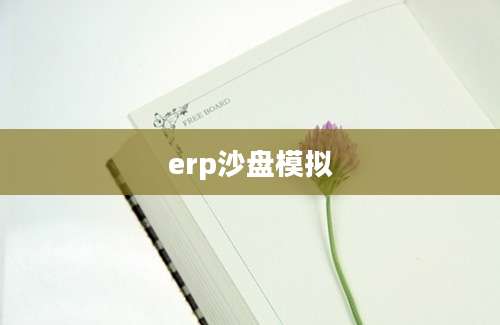 erp沙盘模拟