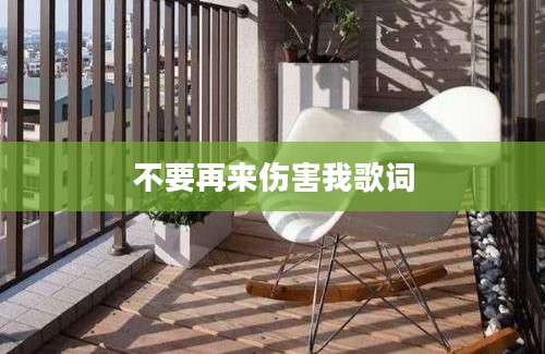不要再来伤害我歌词