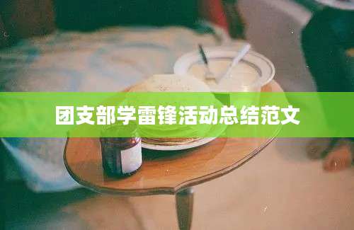 团支部学雷锋活动总结范文