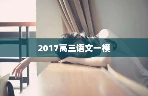 2017高三语文一模