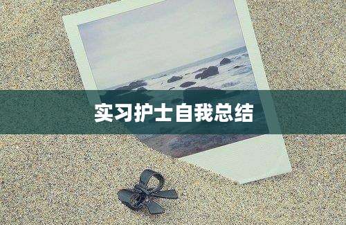 实习护士自我总结