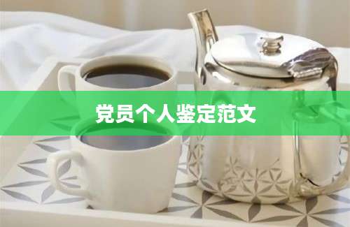 党员个人鉴定范文