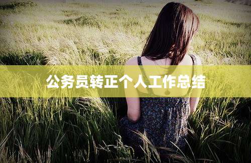 公务员转正个人工作总结