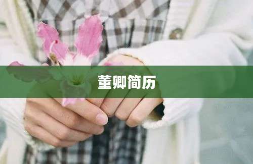 董卿简历