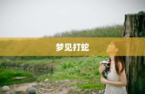 梦见打蛇