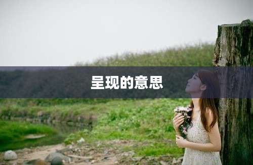 呈现的意思