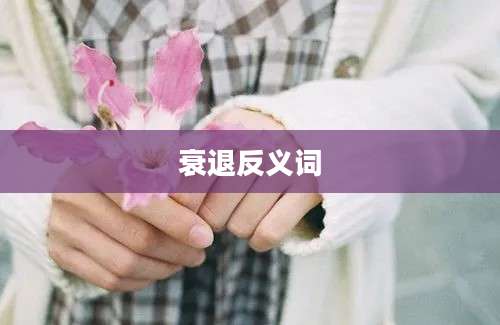 衰退反义词