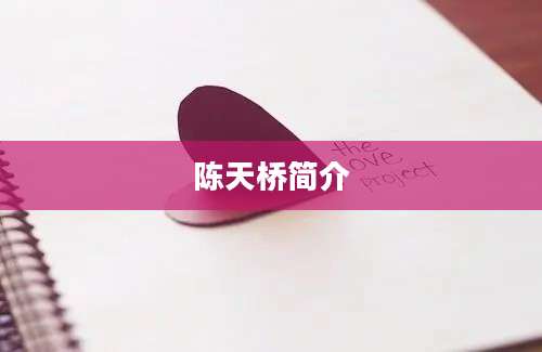 陈天桥简介