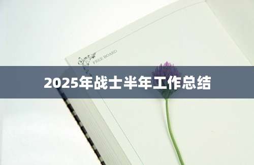 2025年战士半年工作总结