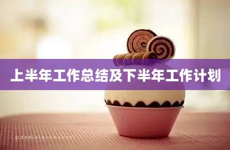 上半年工作总结及下半年工作计划