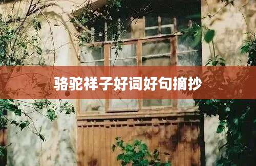 骆驼祥子好词好句摘抄
