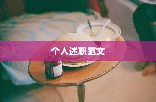 个人述职范文