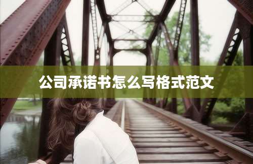公司承诺书怎么写格式范文