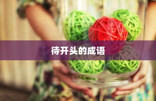 待开头的成语