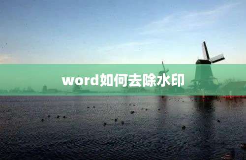 word如何去除水印
