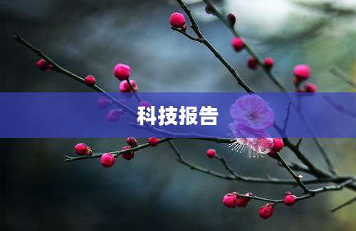 科技报告