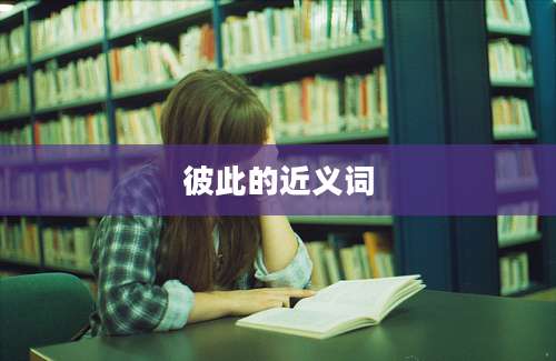 彼此的近义词