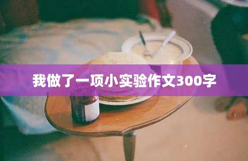 我做了一项小实验作文300字
