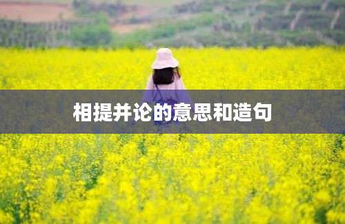 相提并论的意思和造句