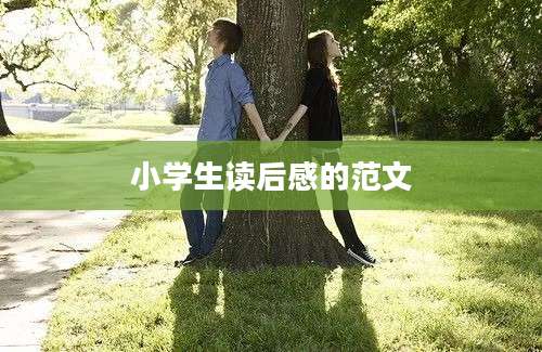 小学生读后感的范文