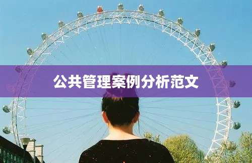 公共管理案例分析范文