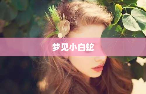 梦见小白蛇