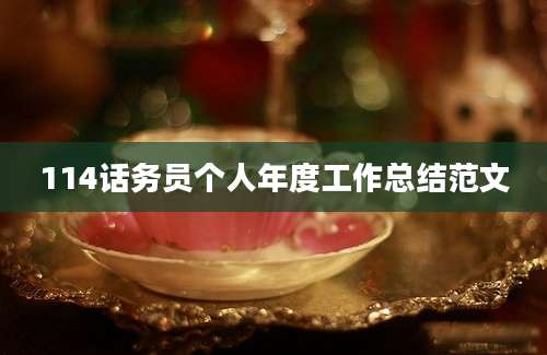 114话务员个人年度工作总结范文