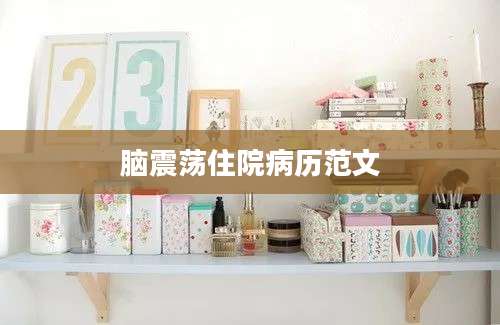 脑震荡住院病历范文