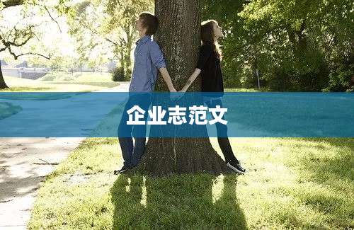 企业志范文