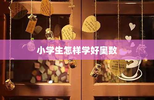小学生怎样学好奥数