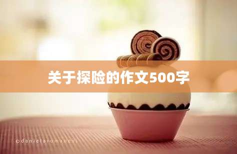 关于探险的作文500字
