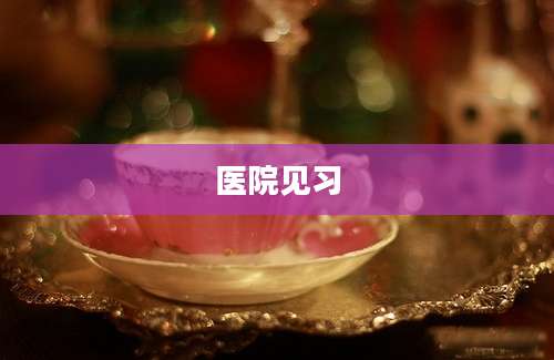 医院见习