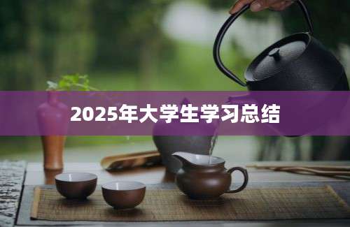 2025年大学生学习总结