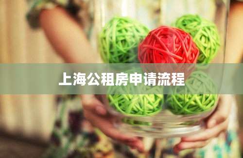 上海公租房申请流程