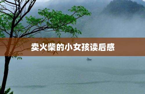 卖火柴的小女孩读后感