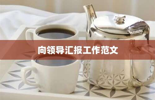 向领导汇报工作范文