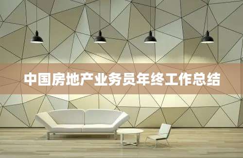 中国房地产业务员年终工作总结