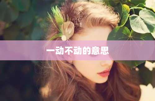 一动不动的意思