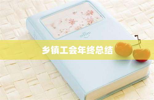 乡镇工会年终总结